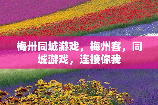 梅卅同城游戏图片