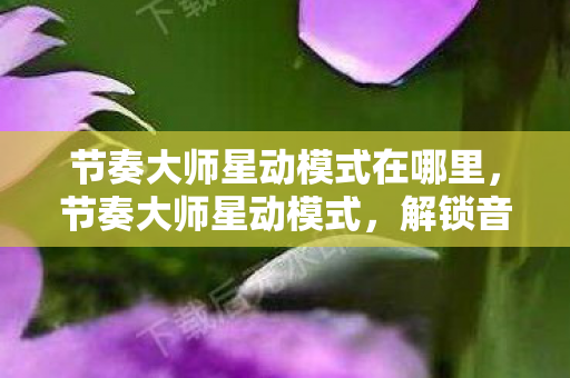 节奏大师星动模式在哪里图片