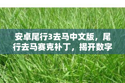 揭开数字时代的隐私迷雾图片