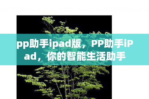 pp助手ipad版图片