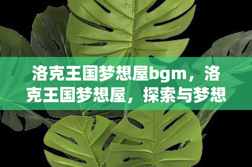 洛克王国梦想屋bgm图片