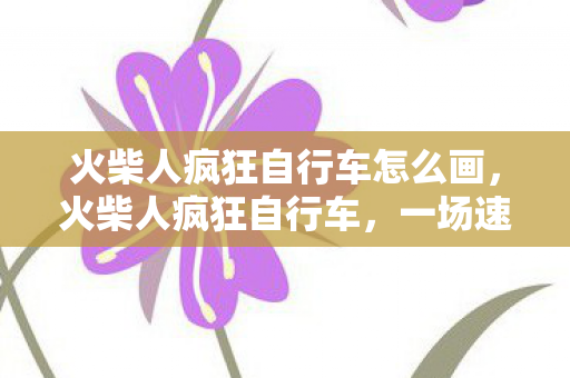 一场速度与激情的冒险之旅图片