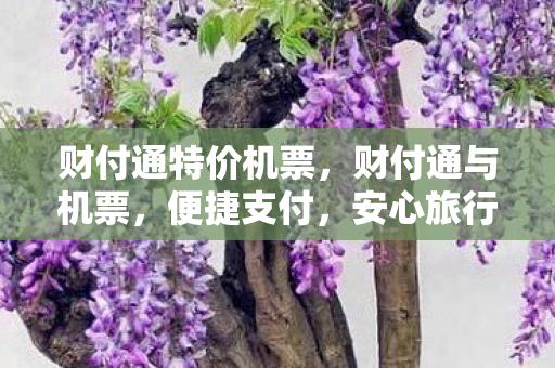 财付通特价机票图片