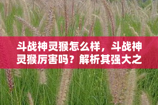 斗战神灵猴怎么样图片