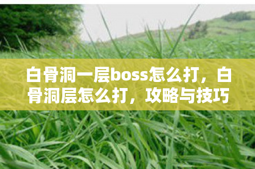 白骨洞一层boss怎么打图片