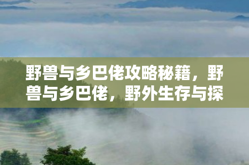 野外生存与探险的终极指南图片