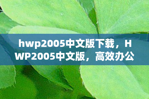 hwp2005中文版下载图片