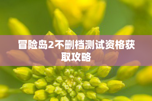 冒险岛2不删档测试资格获取攻略