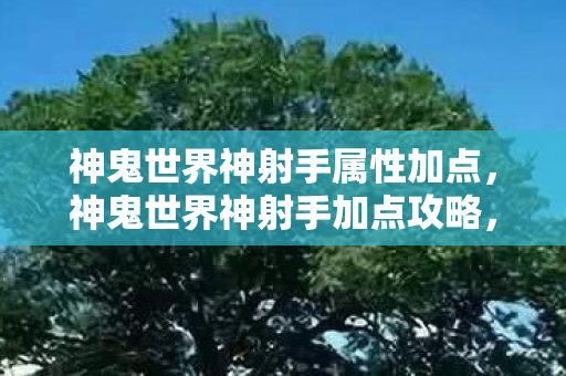 神鬼世界神射手属性加点，神鬼世界神射手加点攻略，打造最强射手角色