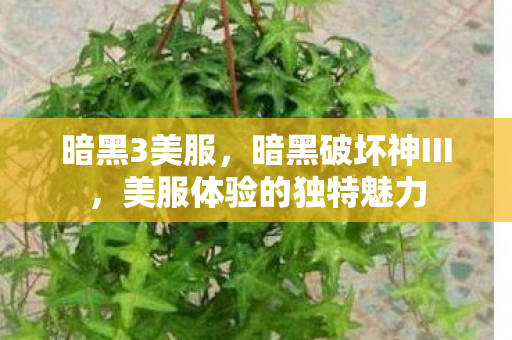 暗黑3美服，暗黑破坏神III，美服体验的独特魅力