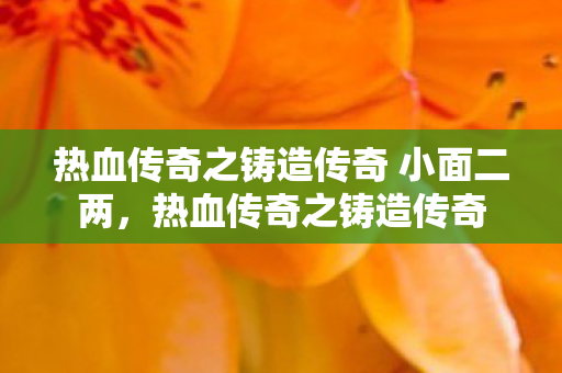 热血传奇之铸造传奇 小面二两图片