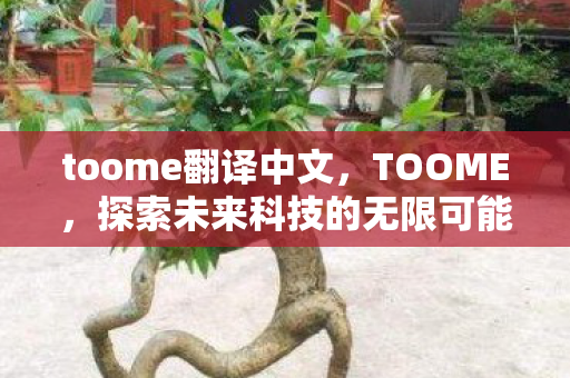 探索未来科技的无限可能图片