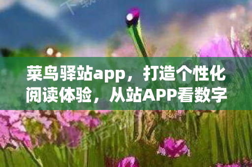 从站APP看数字阅读的未来图片