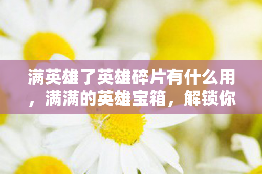 满英雄了英雄碎片有什么用图片