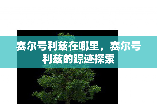赛尔号利兹的踪迹探索图片
