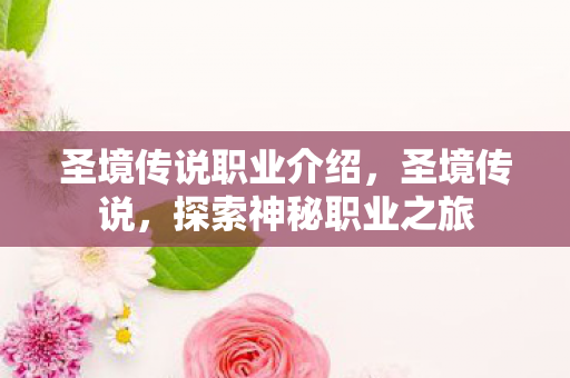 圣境传说职业介绍图片