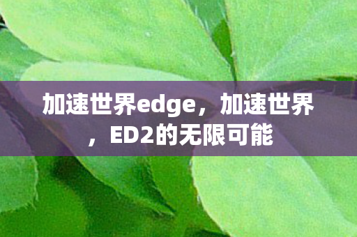 加速世界edge图片