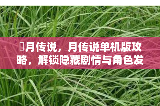 解锁隐藏剧情与角色发展图片