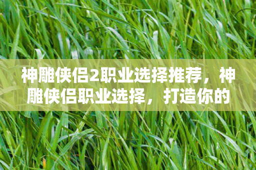 神雕侠侣2职业选择推荐图片