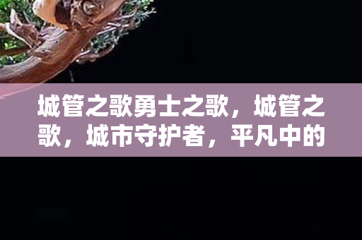 城管之歌勇士之歌图片