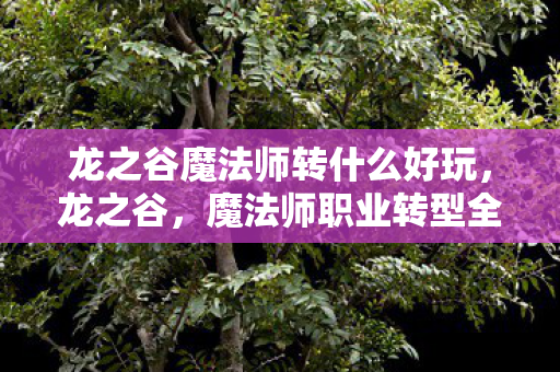 龙之谷魔法师转什么好玩图片