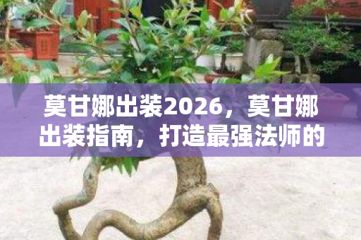 打造最强法师的装备搭配图片