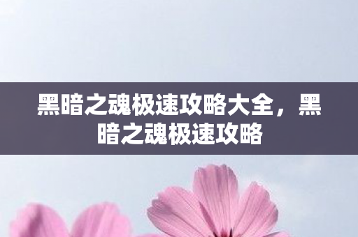 黑暗之魂极速攻略大全图片