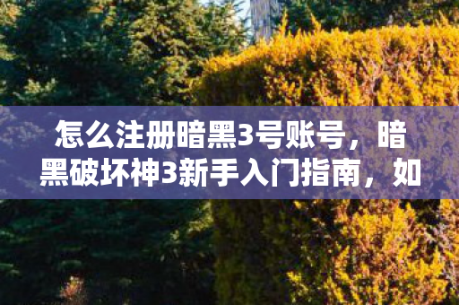 怎么注册暗黑3号账号,暗黑破坏神3新手入门指南,如何注册暗黑3账号 怎么注册暗黑3号账号,暗黑破坏神3新手入门指南,如何注册暗黑3账号