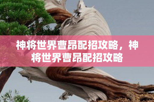 神将世界曹昂配招攻略图片