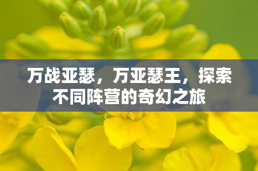 探索不同阵营的奇幻之旅图片