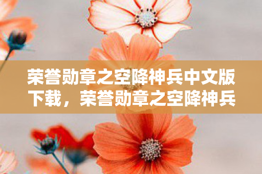 荣誉勋章之空降神兵中文版下载图片