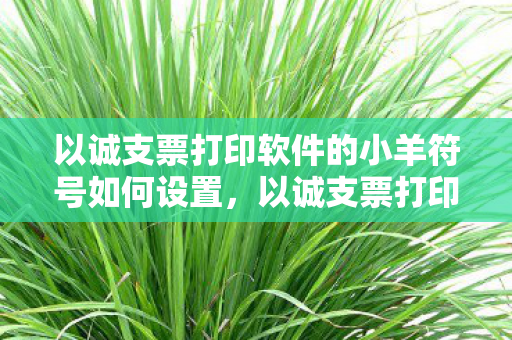 以诚支票打印软件的小羊符号如何设置图片