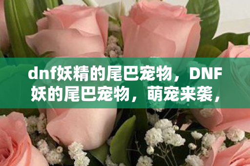 dnf妖精的尾巴宠物图片