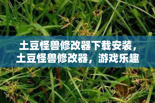 土豆怪兽修改器下载安装图片