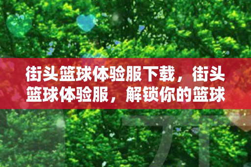 街头篮球体验服下载图片