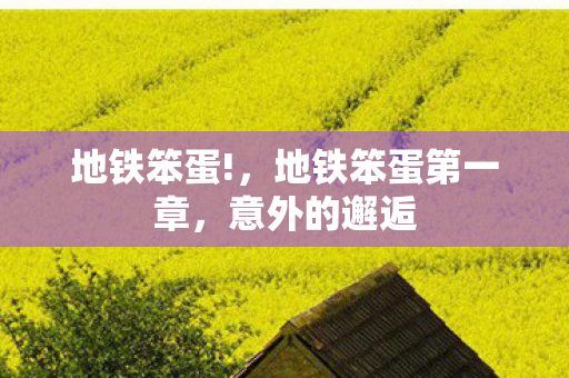 地铁笨蛋第一章图片