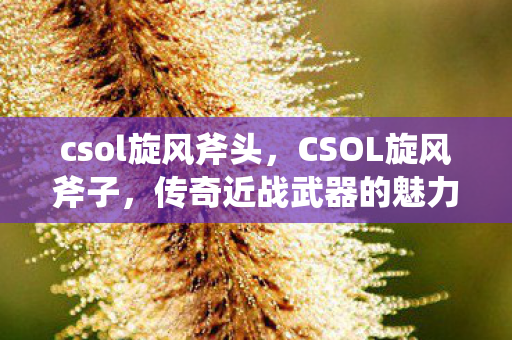 传奇近战武器的魅力与故事图片