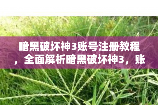 暗黑破坏神3账号注册教程，全面解析暗黑破坏神3，账号注册流程详解