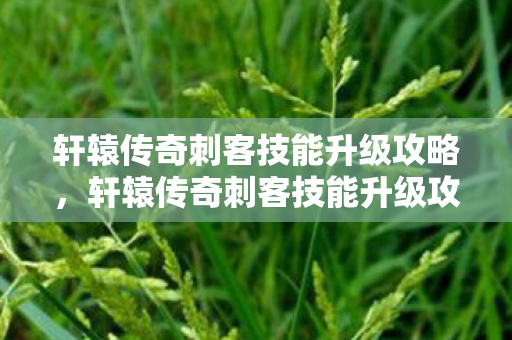 轩辕传奇刺客技能升级攻略图片