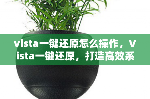 vista一键还原怎么操作图片