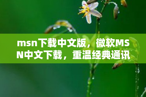 微软MSN中文下载图片