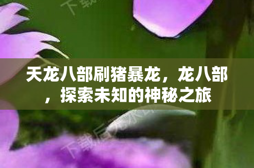 探索未知的神秘之旅图片