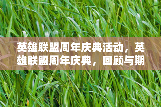 英雄联盟周年庆典活动，英雄联盟周年庆典，回顾与期待