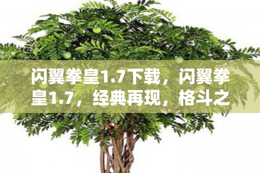 格斗之魂永不熄灭图片