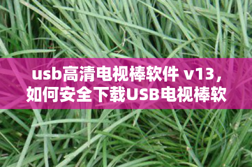 usb高清电视棒软件 v13图片