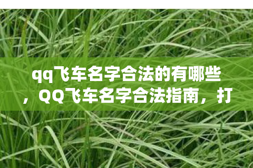 qq飞车名字合法的有哪些图片
