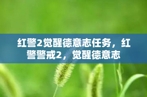 红警2觉醒德意志任务图片