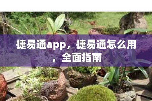 捷易通app图片