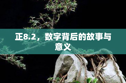 数字背后的故事与意义图片