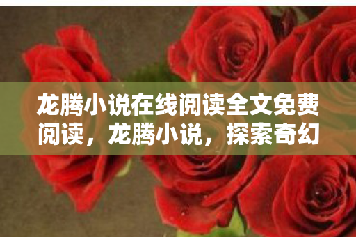 龙腾小说在线阅读全文免费阅读图片